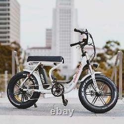 16Ah 750W Electric Bicycle Addmotor MOTAN M-66 R7 Step-Thru Cruiser E-bike Bike