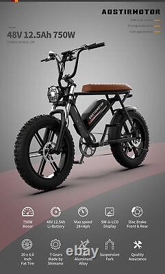 20 750W 48V Electric Bike Mountain Snow Bicycle Li-Battery Fat Tire E bike