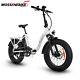 20'' Flat Tire Electric Bike Folding Bicycle 48v500w 13ah Samsung Battery E-bike