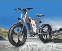 26 Inch Electric Bicycle Fat Tire Ebike off Road 2000w 48v Mountain Moped