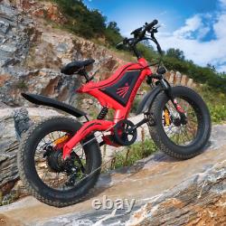 500W 20in Fat Tire Mountain SHIMANO E-bike 48V Battery Beach Cruiser City Bike