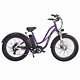 750w 13ah Electric Bicycle Removable Battery 26 Fat Tire Maxfoot Mf-17 P E-bike