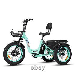 750W 20Ah 48V Electric Tricycle Trike Addmotor M-330 Step-Thru City Ebike PAS7