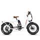 Cargo Electric Bicycle Addmotor M81 750w 48v20ah 20'' Fat Tire Step-thru Ebike
