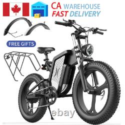 DEEPOWER Electric Bicycle 48V 30Ah 2000W Off Road Ebike Hydraulic Brake CA
