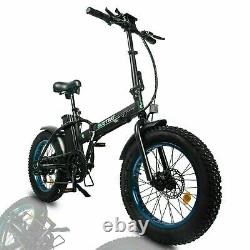 ECOTRIC 20 48V 12.5 AH 500W Folding Electric Bike Beach Bicycle City Ebike LCD