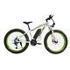 Electric Bike Fat Tyre 26 1000w 48v 13ah High Power Mountain Ebike 21 Speed