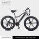 Electric Bike Fat Tyre 26 750w 48v 13ah Cruiser S Black Premium Ebike 40 Km