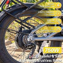 Electric Bike E-Bike 750W 48V 30AH Adult Bicycles 20 Fat Tire Mountain Ebikes