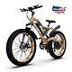 Electric Bike S18 1500w Mountain Ebike 48v 15ah Removable Lithium Battery