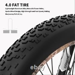 Electric bike 48V 15Ah 1500W 26in 48V 15Ah Removable 4.0 Fat Tire eBike