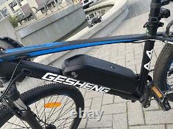 Electric bike / ebike