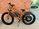 Fat Bike Build With Bionx Motor D500 500w 48v Battery (ebike For Sale)