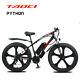 Fat Tyre Electric Bike 26 1000w 48v 13ah Taoci Black Ebike 21 Speed 50km Range