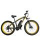 Fat Tyre Electric Bike 26 350w 48v 10ah High Power Mountain Ebike 21 Speed