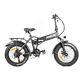 Paselec 500w Electric Folding Bike 20inch Fat Tire Bicycle Foldable E-bike New
