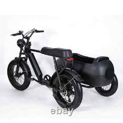 PlayeBike 750w 6 Speed Shimano Electric Tricycle Ebike Bicycle With Side Car