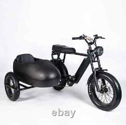 PlayeBike 750w 6 Speed Shimano Electric Tricycle Ebike Bicycle With Side Car