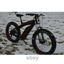 Samedi 750W Carbon Fiber Bike Fat E Bike, 26 inch Electric Cruiser US DUTY FREE