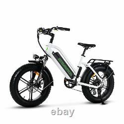 20'' 16ah 750w 48v Vélo Électrique À Pneus À Haute Teneur En Matières Grasses M-50 Beach City E-bike