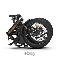 20 500w 36v Fat Tire Mountain Beach Vélo Électrique Vélo Ebike E-bike LCD