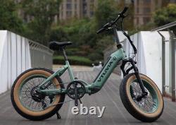 Ebike 750w 13ah 48v Vélo Électrique 20in Pliable E-bike Fat Tire