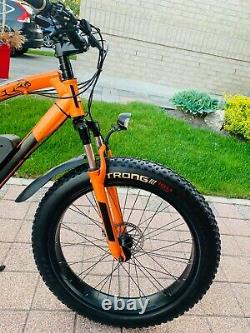 Fat Bike Build Avec Bionx Motor D500 500w 48v Batterie (ebike À Vendre)