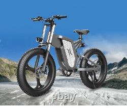 Nouvelle Sortie Vélo Électrique 26 Pouces Fat Tire Off Road Ebike 2000w 48v 20ah