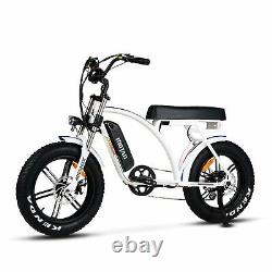 Vélo Électrique 750w 48v 14ah Batterie 20'' Fat Tire Addmoteur M-60 R7 Ebike