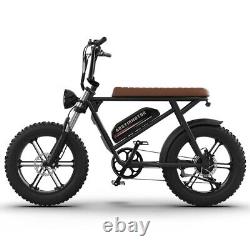 Vélo électrique de montagne à neige avec batterie Li de 20 750W 48V et pneus gras E-bike
